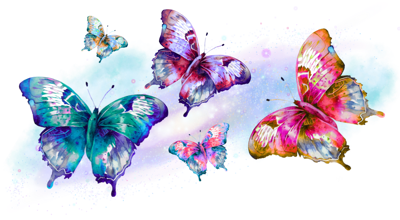 Cosmic Butterfly