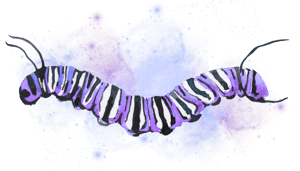 Cosmic Caterpillar