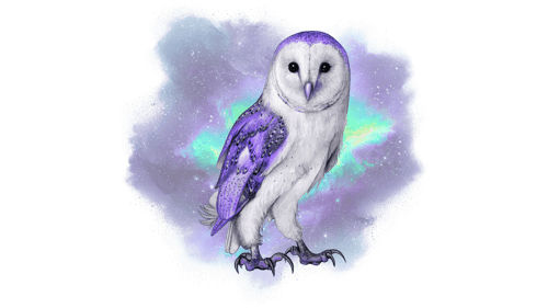 Cosmic Owl