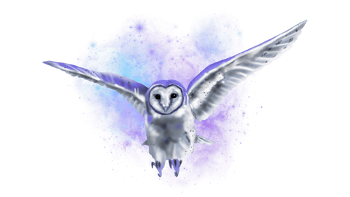 Cosmic Owl