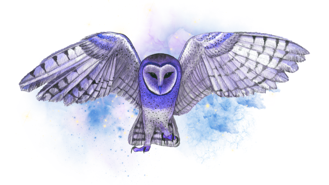 Cosmic Owl