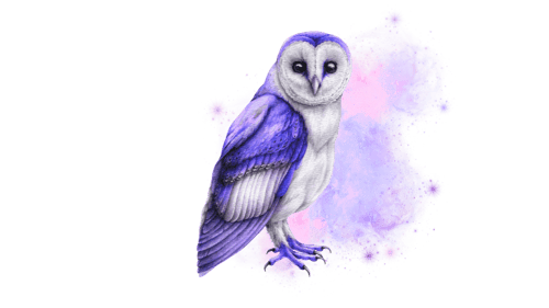 Cosmic Owl