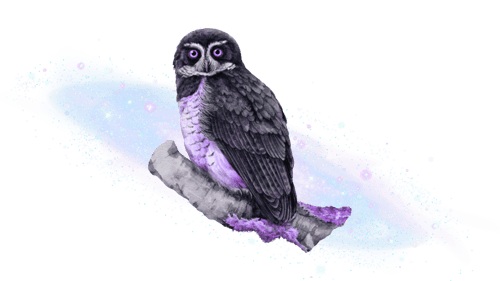 Cosmic Owl