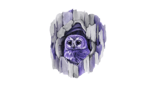 Cosmic Owl