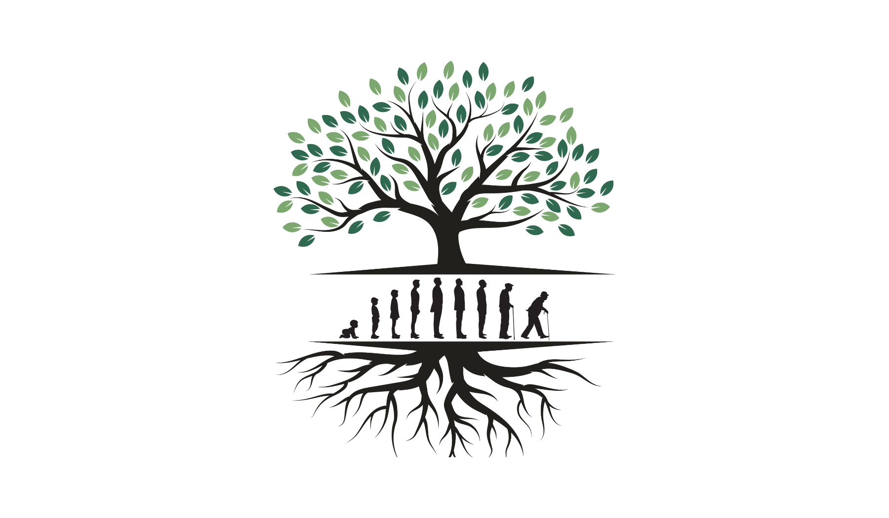 tree with exposed roots, and stages of life displayed between the roots and the tree
