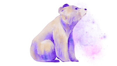 Cosmic Bear