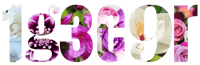 1g3c9r