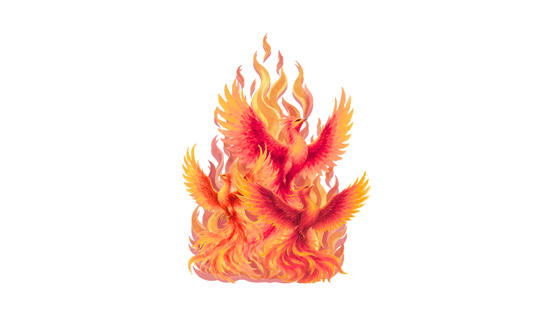3 phoenixes rising from the flames