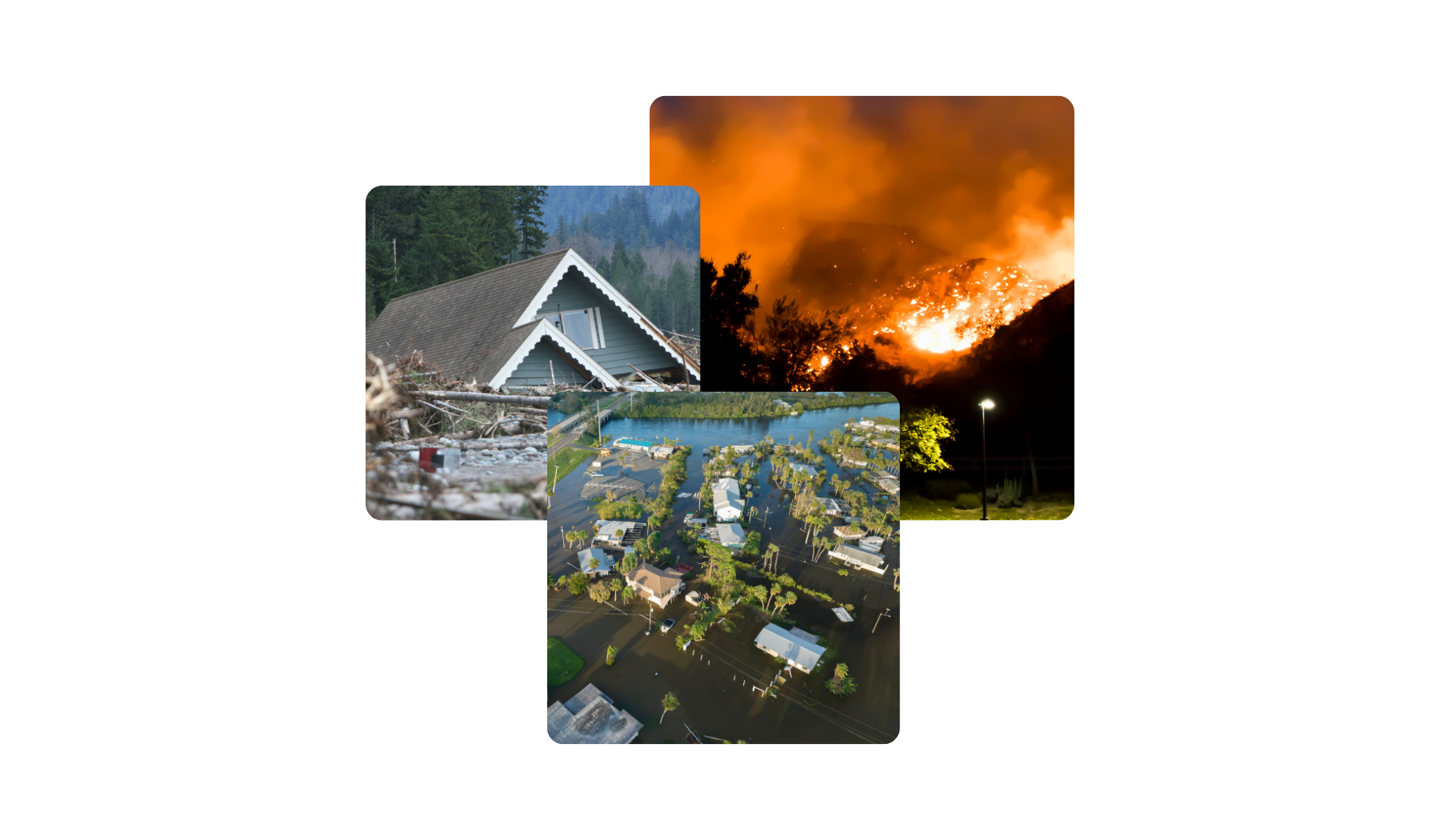 scenes from different parts of the US: Florida, California, Washington State